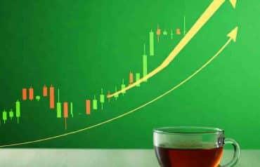 Top Tea Stocks in India