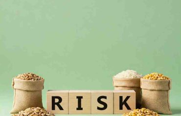 Commodity Trading Key Strategies for Risk Management and Informed Decisions