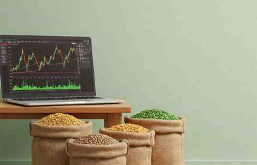 The Rising Appeal of Commodities for Indian Investors