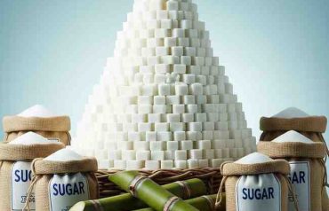 Ethanol Blending Program (EBP): The Game Changer for Indian Sugar Stocks