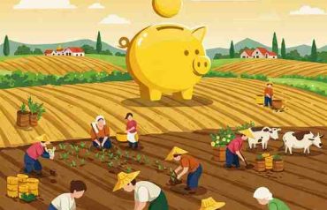 small finance banks stocks India and regional rural banks India
