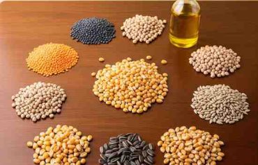 Agricultural Commodities & Their Trading Characteristics